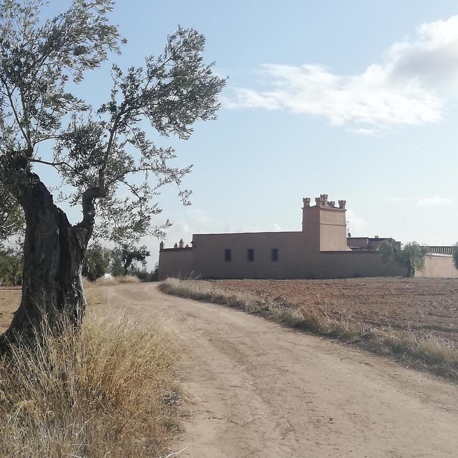 Albergue Turistico La Almazara Villafranca de los Barros Εξωτερικό φωτογραφία