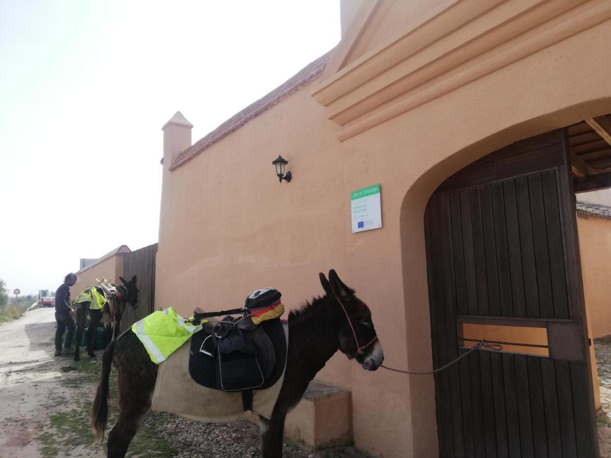 Albergue Turistico La Almazara Villafranca de los Barros Εξωτερικό φωτογραφία