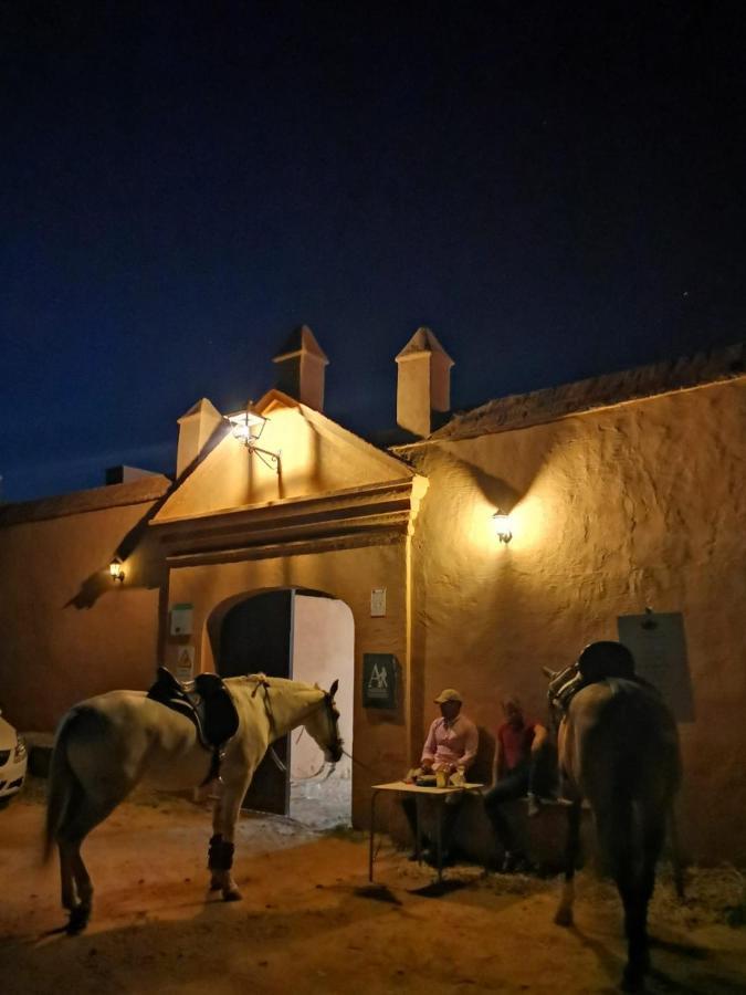 Albergue Turistico La Almazara Villafranca de los Barros Εξωτερικό φωτογραφία
